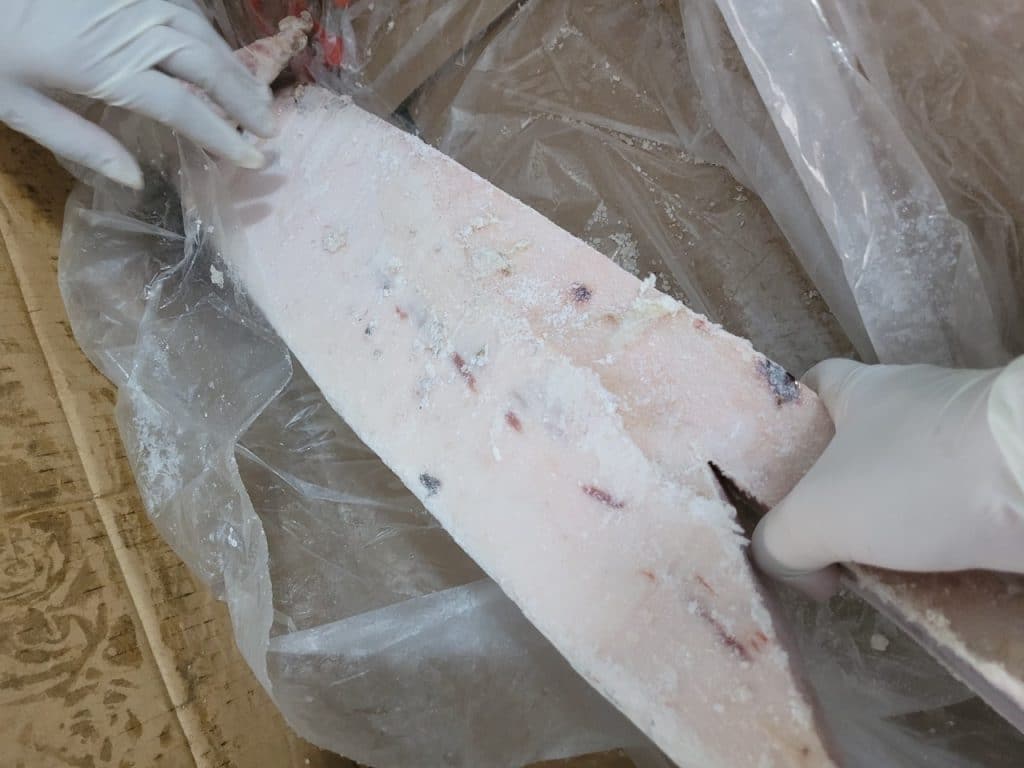 Hướng dẫn chọn mua bụng cá cờ kiếm sashimi chất lượng