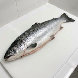 Cá Hồi Úc tươi – ảnh 4