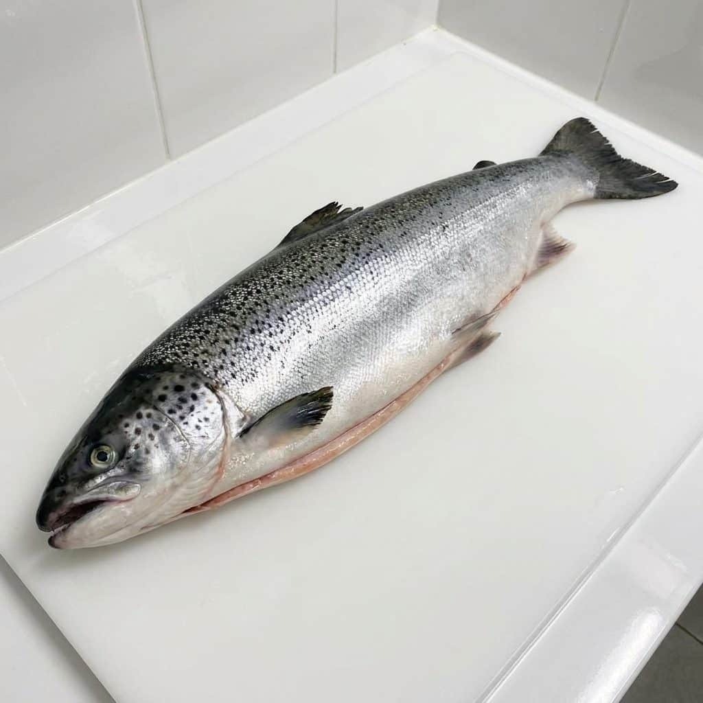 ca-hoi-tuoi-uc-4 Cá Hồi Úc tươi – ảnh 4