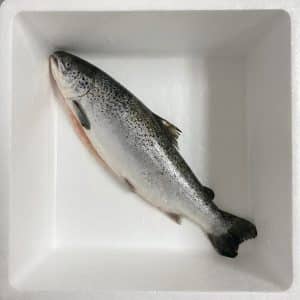 Cá Hồi Úc tươi – ảnh 5